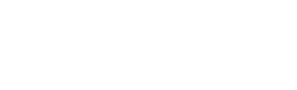 RIKX Capital